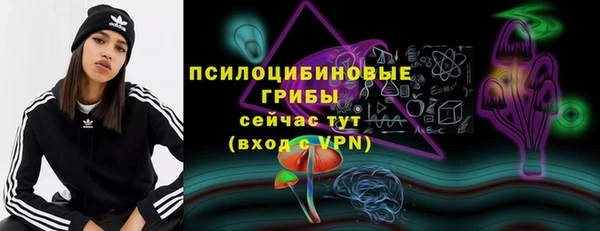 соль ск Абдулино