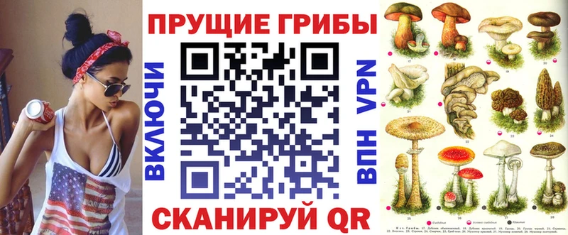 darknet как зайти  Аксай  Псилоцибиновые грибы Magic Shrooms  сколько стоит 