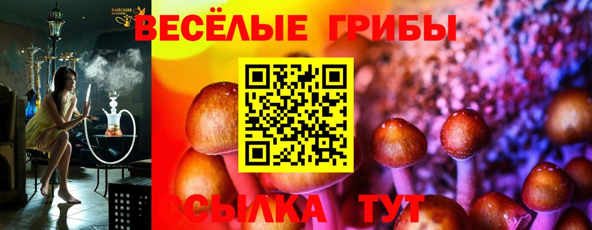 Псилоцибиновые грибы Magic Shrooms Аксай